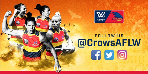 CrowsAFLW_250x250.jpg
